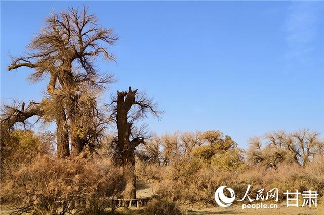 将文化资源转化为发展优势，甘肃酒泉都做对了啥？