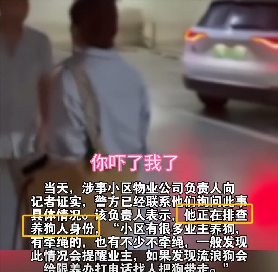 丹阳烈犬扑童后续:受害者全家遭威胁,女子身份不简单,难怪嚣张(图10) 丹阳烈犬扑童后续:受害者全家遭威胁,女子身份不简单,难怪嚣张(图10)