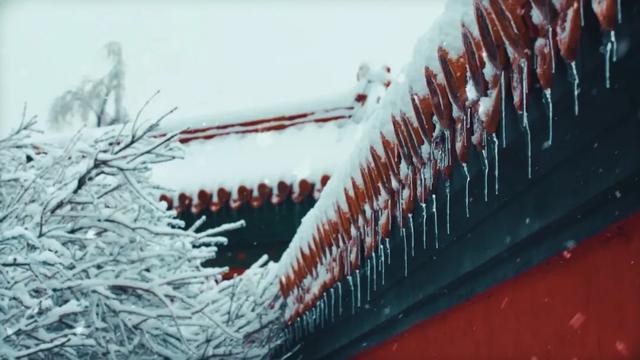 小雪｜哈尔滨拍照氛围感，拿捏！