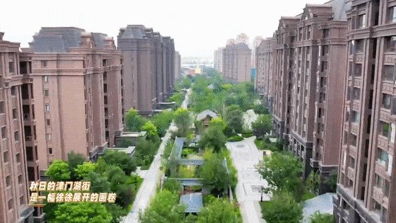 秋之丰硕・秋天没去津门湖，你错过了什么？