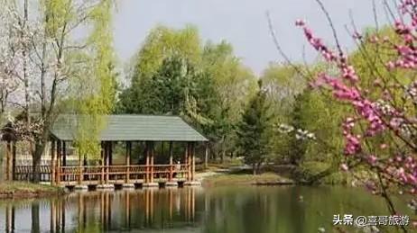 长春城市绿肺！我在净月潭洗了场22度森林浴，还乘了夜光星空缆车