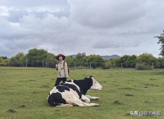 在额尔古纳和网友去了免费的湿地公园，晚上在青旅吃涮羊肉（十）