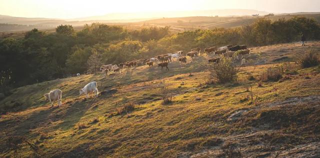 一键收藏!明光南部2025年秋景大赏