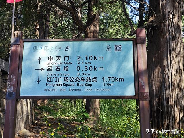 徒步登泰山之一——3小时从一天门到中天门