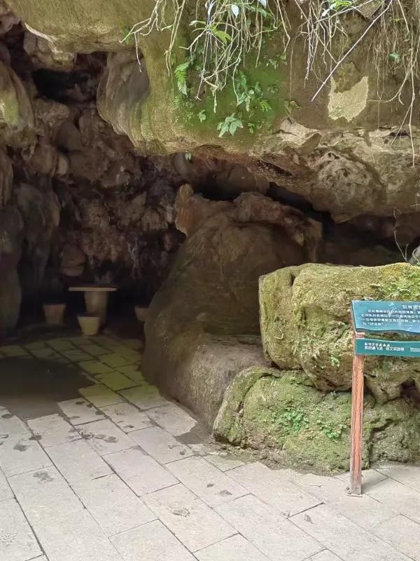最美地球疤痕 马岭河大峡谷