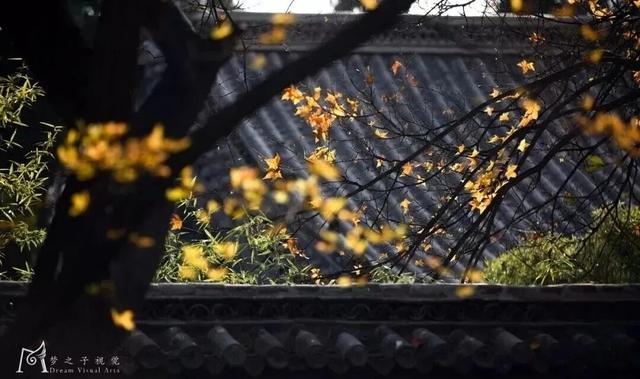 青州这些景致，藏着最动人的温柔