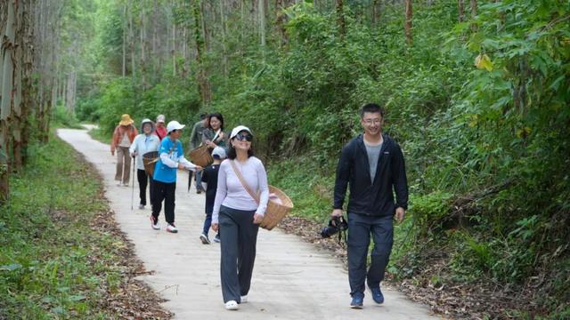 思茅区：咖啡庄园迎来暑期旅游热 解锁“咖旅融合”新玩法