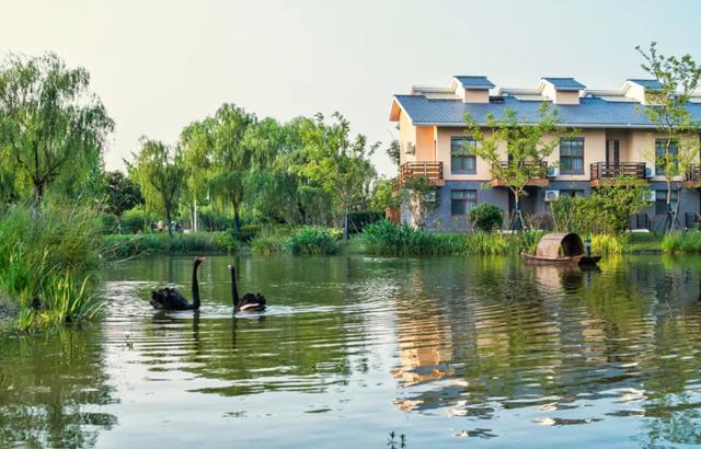 初冬逛沪郊!奉贤、崇明限时优惠来啦