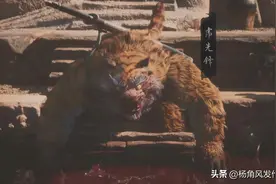 黑神话悟空：原著都翻烂了，终于搞清了虎先锋一家命运凄惨的原因图片