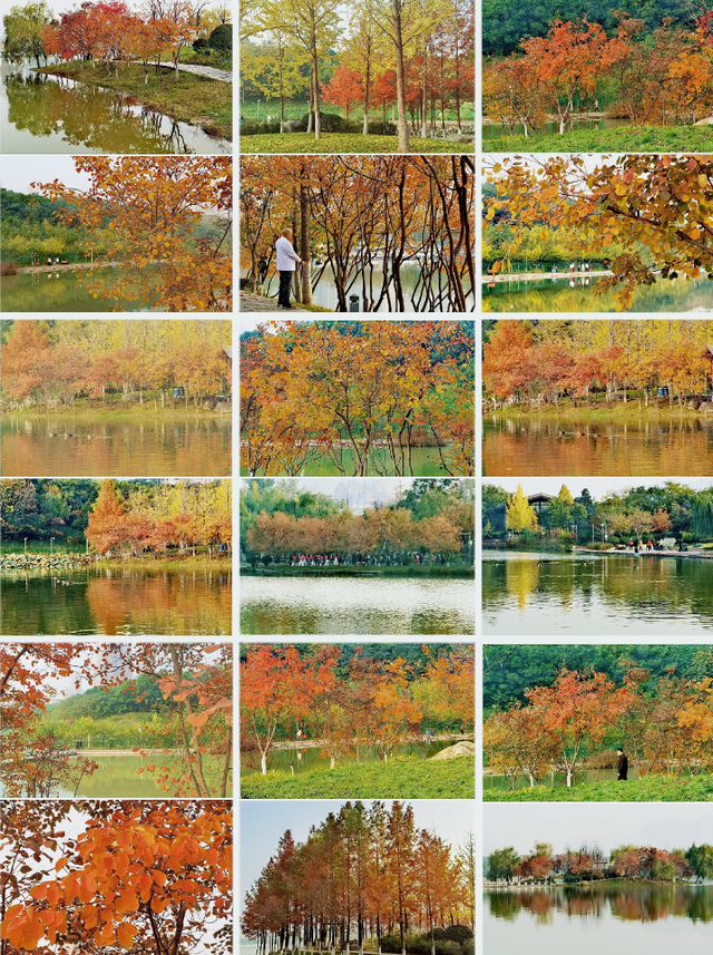 西安城区4个绝美秋景打卡地！