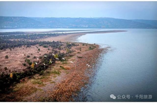 我在千湖湿地撞见了冬天的温柔