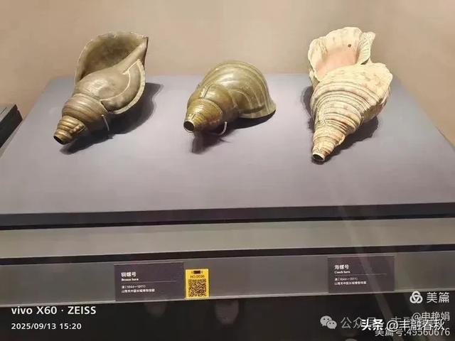 山海之间，触摸长城的千年脉搏｜申艳娟