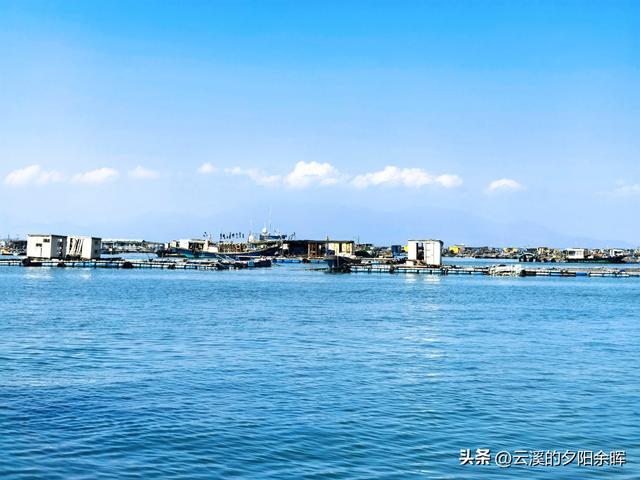 广东阳江海陵岛“渔家乐”体验	，章鱼独当一面