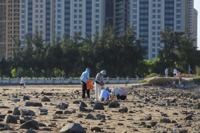 赶海、寻趣！来丰泽打卡这一抹海天蓝！