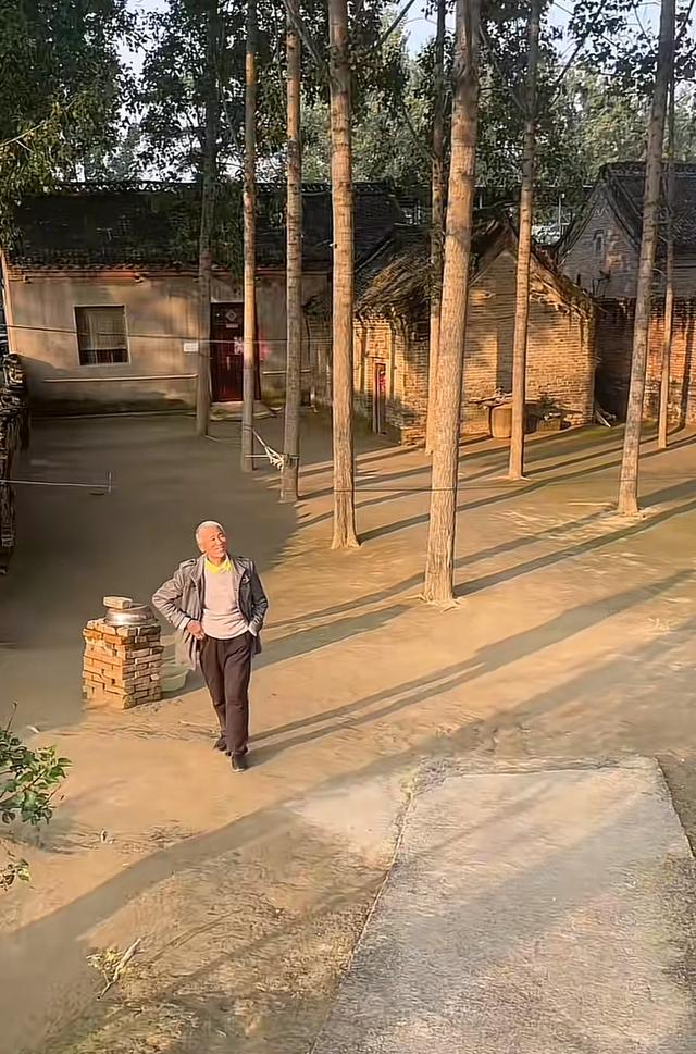 河南一大爷院子因干净成网红打卡地，网友：像极了小时候家的样子