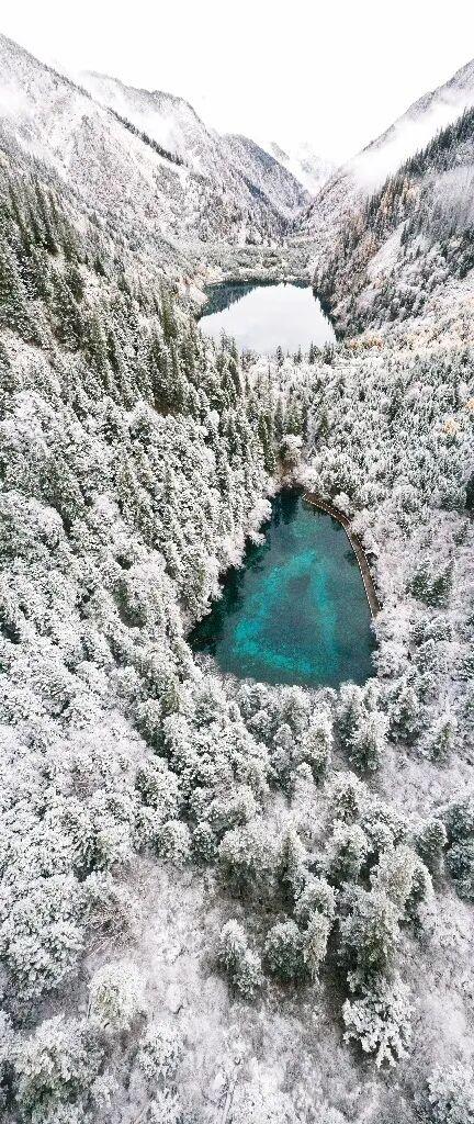 九寨沟冬日限定皮肤上线！快来九寨沟赏雪林彩池啦~