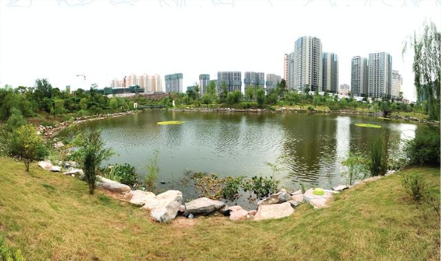 四川省东兴区历史沿革及行政区划