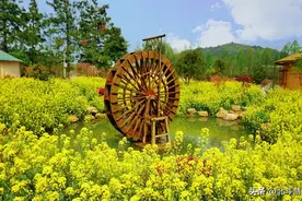 湖州十大冷门景点，人少景美好玩图片