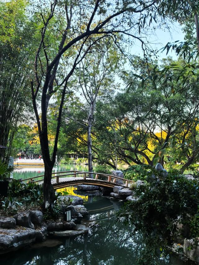 桂林：邂逅榕湖别样情！