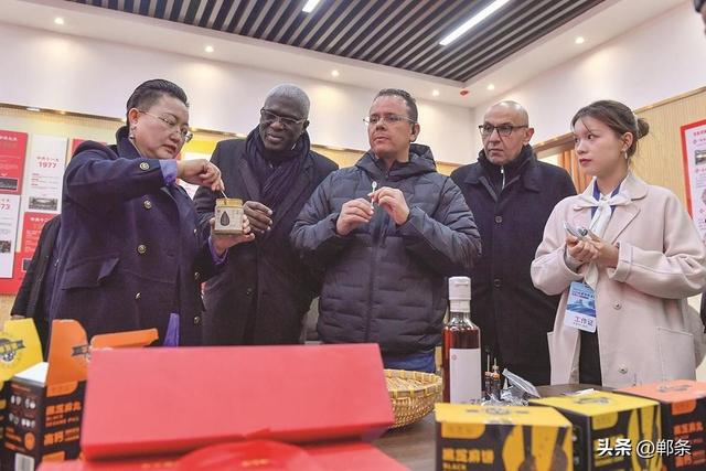 机遇中国—2025驻华外交官邯郸行走进临漳和大名