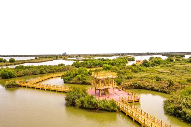 【黄河口生态旅游区】邂逅多彩黄河口，赴一场自然与生命的浪漫之约