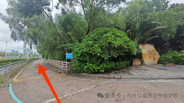 深圳知名景区提醒：即日起，入口有变！