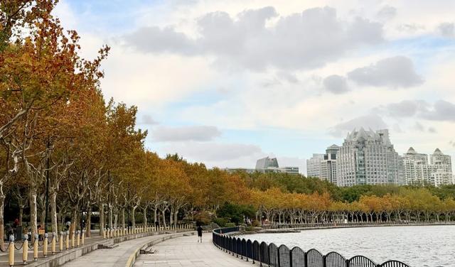 音乐体育双重奏：世纪公园打造多维体验场景