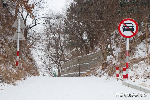 随手拍：打卡雪后的烟台“竹林路”