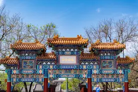 笑疯了，为什么雍和宫不能随便拜？因为他走的是献祭流路线图片