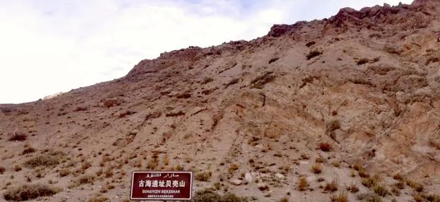 新疆乌恰县贝壳山，满山的贝壳