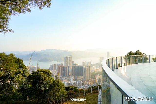 冬日限定！这里的落羽杉美出电影质感