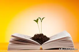 2024年全国名校模考作文（129）“名言组合型”写作图片