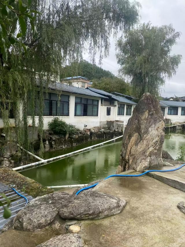 桃花庄园民宿，一场浸于山水与人文的深度栖居