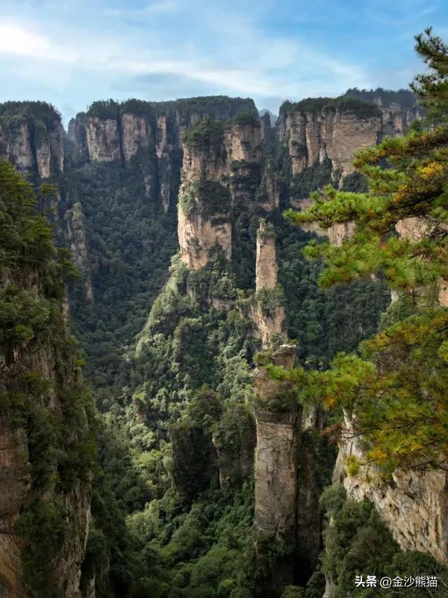 镜头中的山水：寻梦张家界 醉心山水间