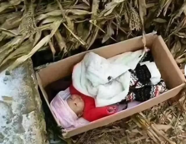 武汉卖菜单身汉捡2女婴抚养长大，谁料，多年后小女儿却让他泪目