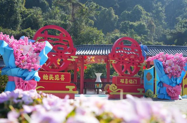 观音山的欢乐“不打烊”！错峰出游，欢乐加倍~