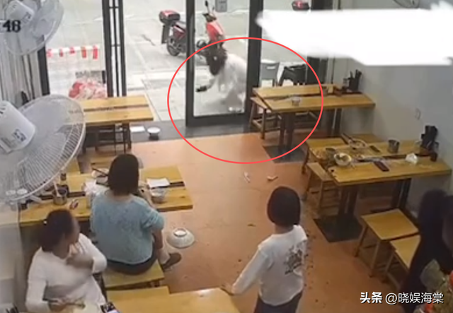 杭州胖女人吃面扣头后续：知情人曝内幕，警方介入，被父子追着打