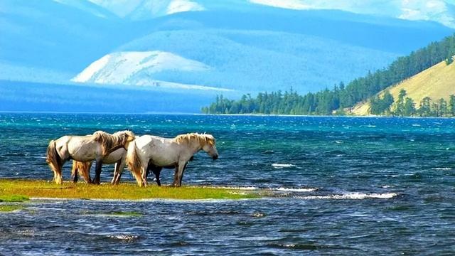 蒙古还有湖？水量是三峡水库的近10倍，是全中国所有湖泊的1.7倍