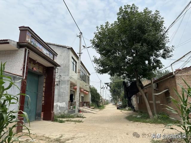 冠县乡韵·甘官屯镇太平庄