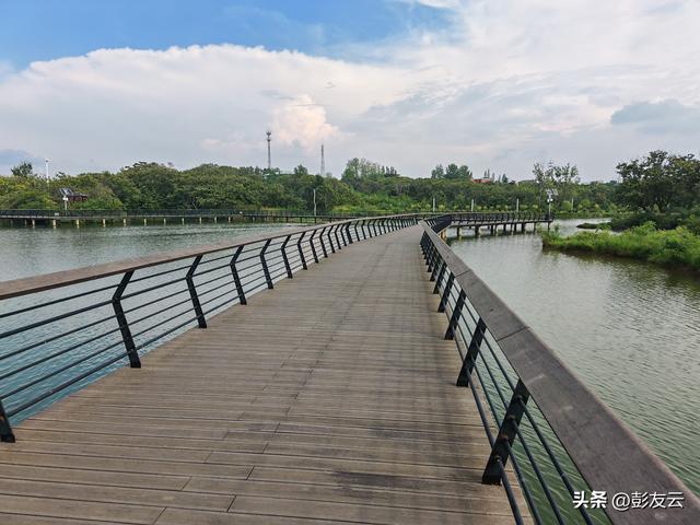 龟山湖遇雨
