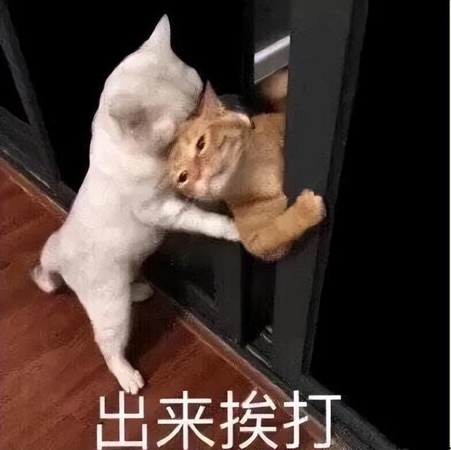外卖们越卷，服务人员越不能惹