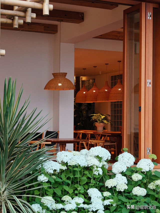 在窗边收藏一整片滇池！海晏村绝美咖啡馆推荐，快码住→