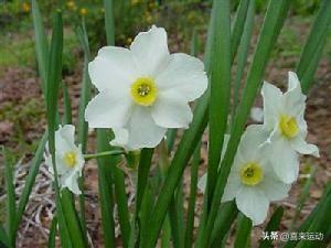 男人触摸女人这里，比亲吻、拥抱都上头，你知道吗？