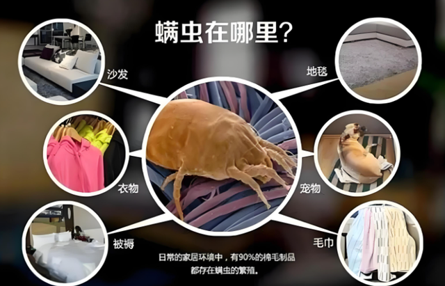 除螨仪选不对等于白买？2025 年实测好用的10款推荐！有线or无线？
