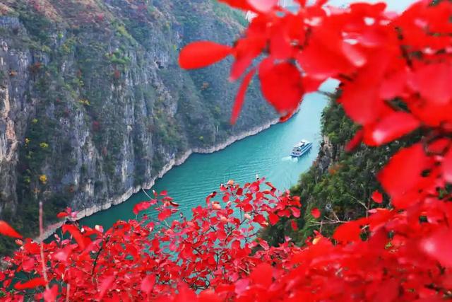 巫山：等到满山红叶时