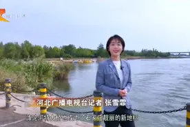 【引央企 有“冀”策】以营商环境吸引力 为高质量发展添动力图片