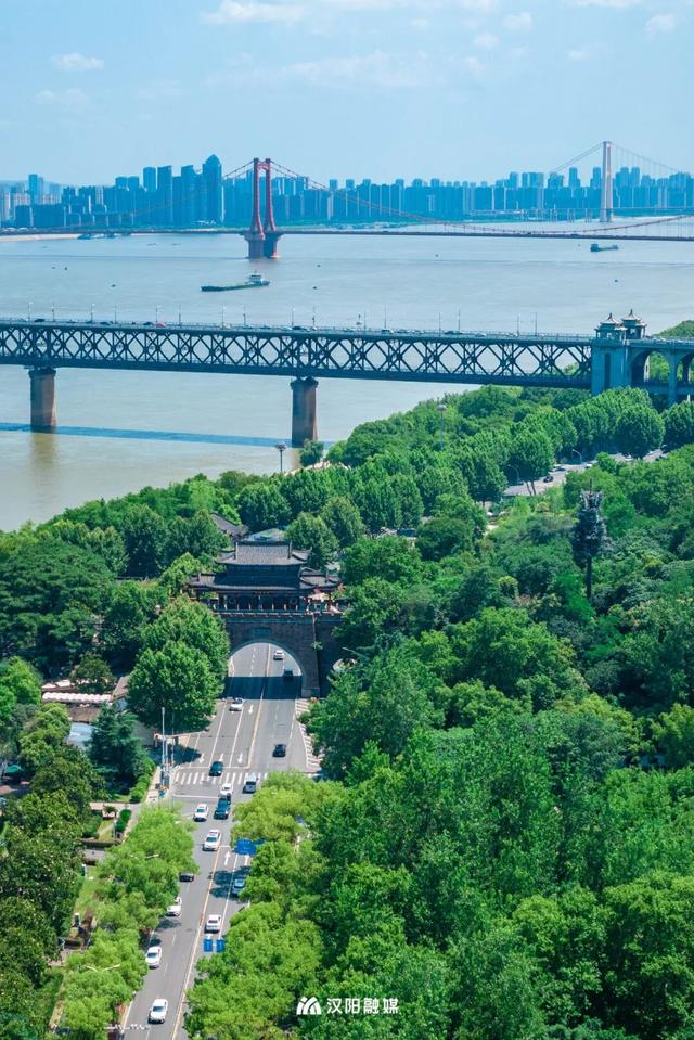 上央视！汉阳这条大道凭什么成顶流？