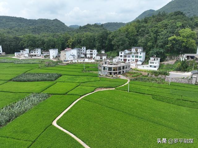 清凉罗平引客来 避暑旅居正当时