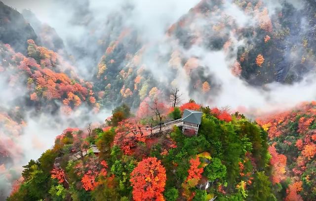 四川低调的赏秋胜地，秋色不输九寨沟，被称为"中国红叶第一山"