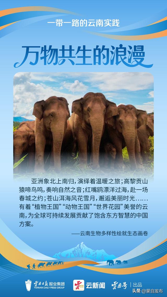 云新闻策划丨从茶马古道到数字丝路，云南把浪漫卷向全球！